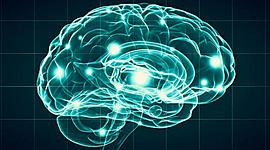 Timeline: Neuropsicología