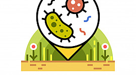 Timeline: Historia de la Microbiología del Suelo