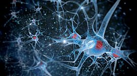 Timeline: Neuropsicología Clínica