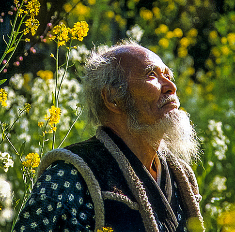 Masanobu Fukuoka