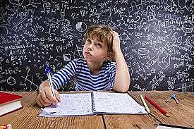 Marie "planotopoquinesia"