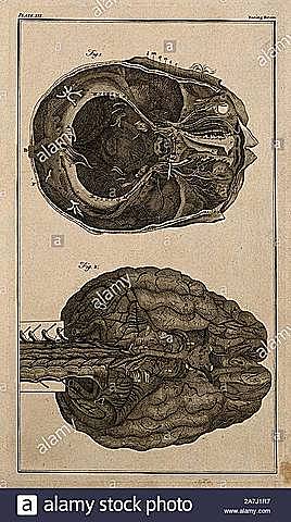 Trastornos cognoscitivos | Aportaciones