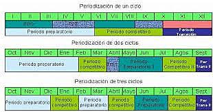 Modelos de Periodización