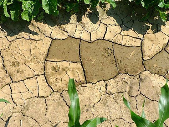 Mal uso del suelo (2010- )