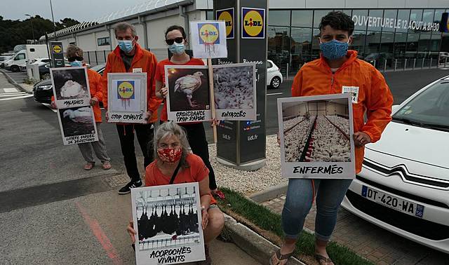 GUIDEL - ACTION L.214