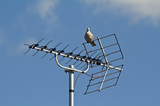antenna