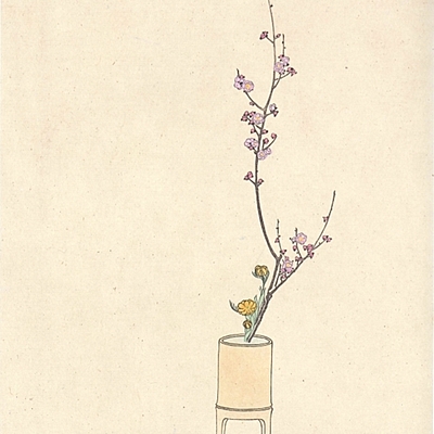 Timeline: 2020 In a Nutshell