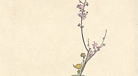 Timeline: 2020 In a Nutshell