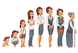 Diviciones del ciclo de la Vida