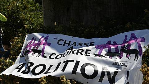 BAUD - ACTION ANIMALISTES