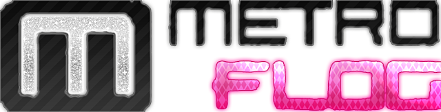 METROFLOG, OTRO MÁS QUE SUPO INNOVAR (2004)