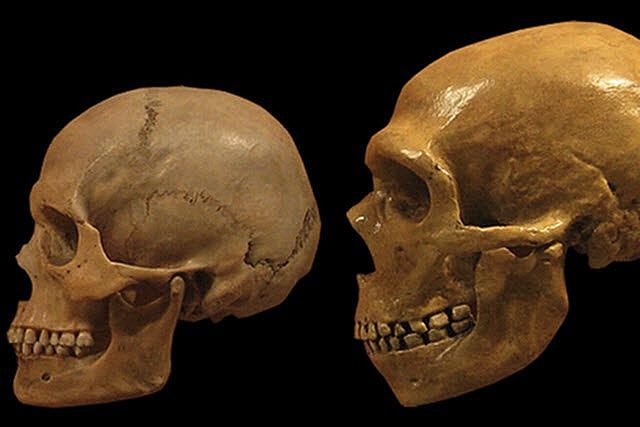 Sociedad Antropológica de París