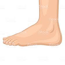 la creacion de internet