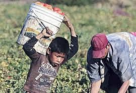 Prohibición del trabajo a niños menores de 7 años.