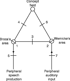 Esquema Lichtheim-Wernicke