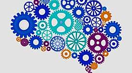 Timeline: Desarrollo histórico de la neuropsicología