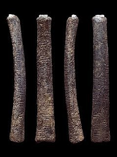 El nacimiento del número 1