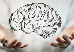 Rehabilitación Cognoscitiva