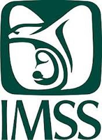 CREACIÓN DELL IMSS