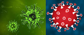 Una problematica que afecto todos los sectores: