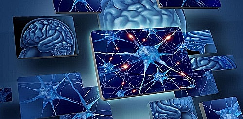 La neuropsicología ha tenido un crecimiento notorio. De hecho, se considera el área con mayor desarrollo dentro de la psicología y dentro de las neurociencias en general