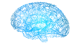 Timeline: Etapas en el desarrollo de la Neuropsicología