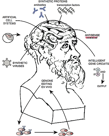 Corpus de Hipócrates 400 a.C