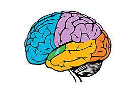 Ha surgido también una nueva área de trabajo
