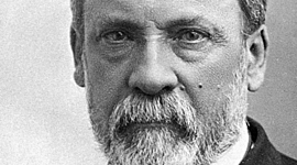 Timeline: Luis Pasteur