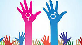 Timeline: participación de genero