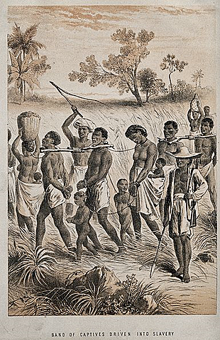 Exploración Africana