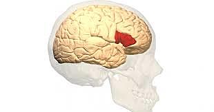 INICIO DEL PERIODO CLÁSICO