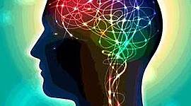 Timeline: Desarrollo Histórico de la Neuropsicología Clínica