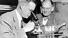 Timeline: HISTORIA DE LA VIROLOGIA