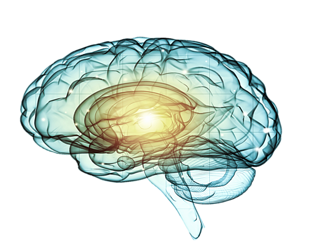 PERIODO CONTEMPORÁNEO