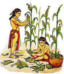 Agricultura y Ganaderia