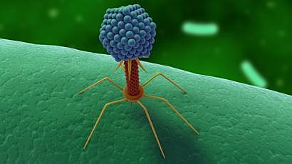 Frederick Twort (Bacteriologo briotanico)