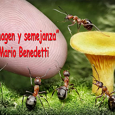 Timeline: A IMAGEN Y SEMEJANZA