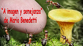 Timeline: A IMAGEN Y SEMEJANZA