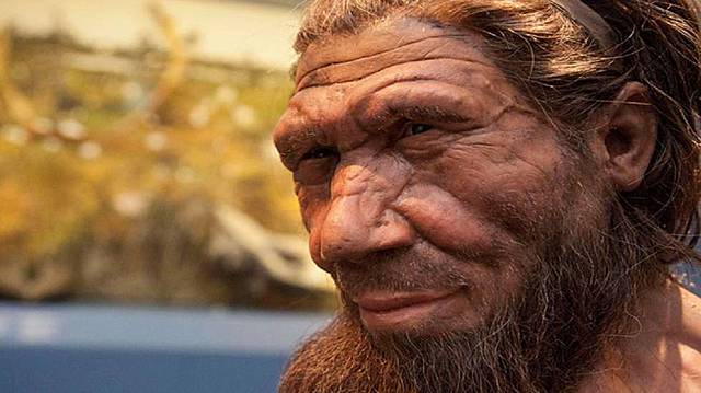 Neandertal