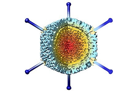 Phill Sharp y Richards Roberts