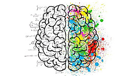 Timeline: Etapas del desarrollo de la Neuropsicología