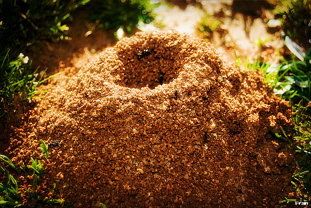 De pronto... una corriente de viento  la derrumbo.