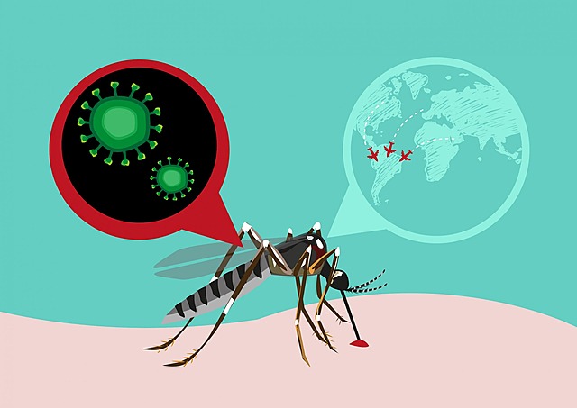 Virus Zika
