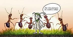 El palito estuvo a punto de caer, pero un particular vaivén del cuerpo de la hormiga aseguró su estabilidad.