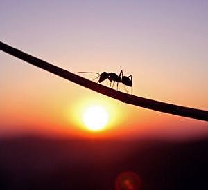 Después llevó a cabo su quinta operación de carga.