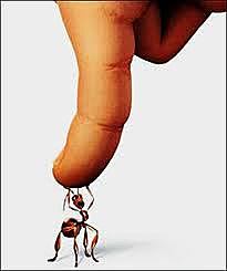 Ahora el paso era rápido, y el palito no parecía correr el menor riesgo de derrumbe.