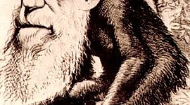 Timeline: Evolución