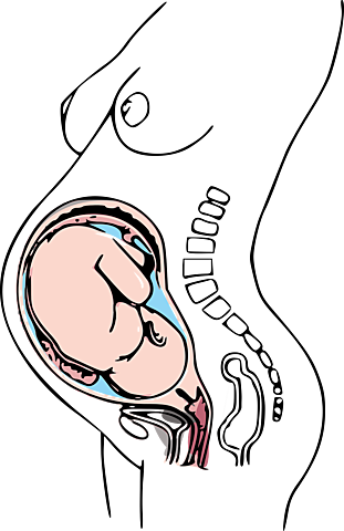 Semana Treinta y seis