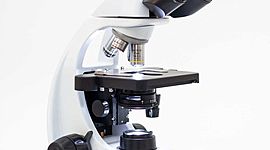 Timeline: El Microscopio